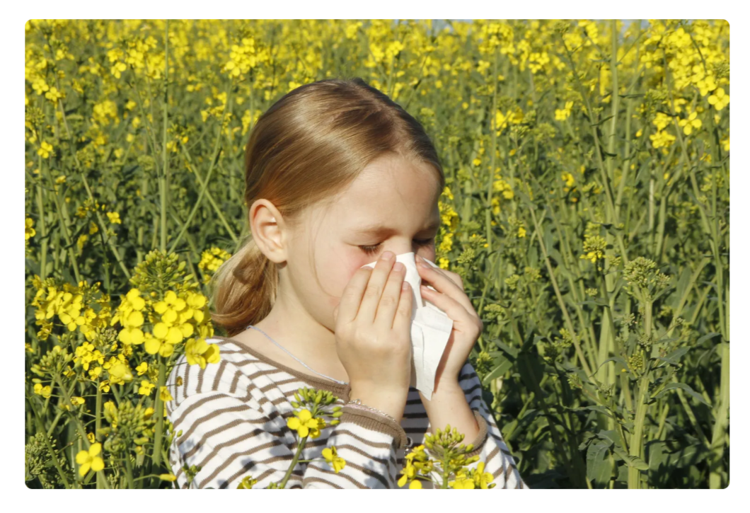 Allergie nei bambini: la guida completa tra nuovi sintomi e cure d'avanguardia