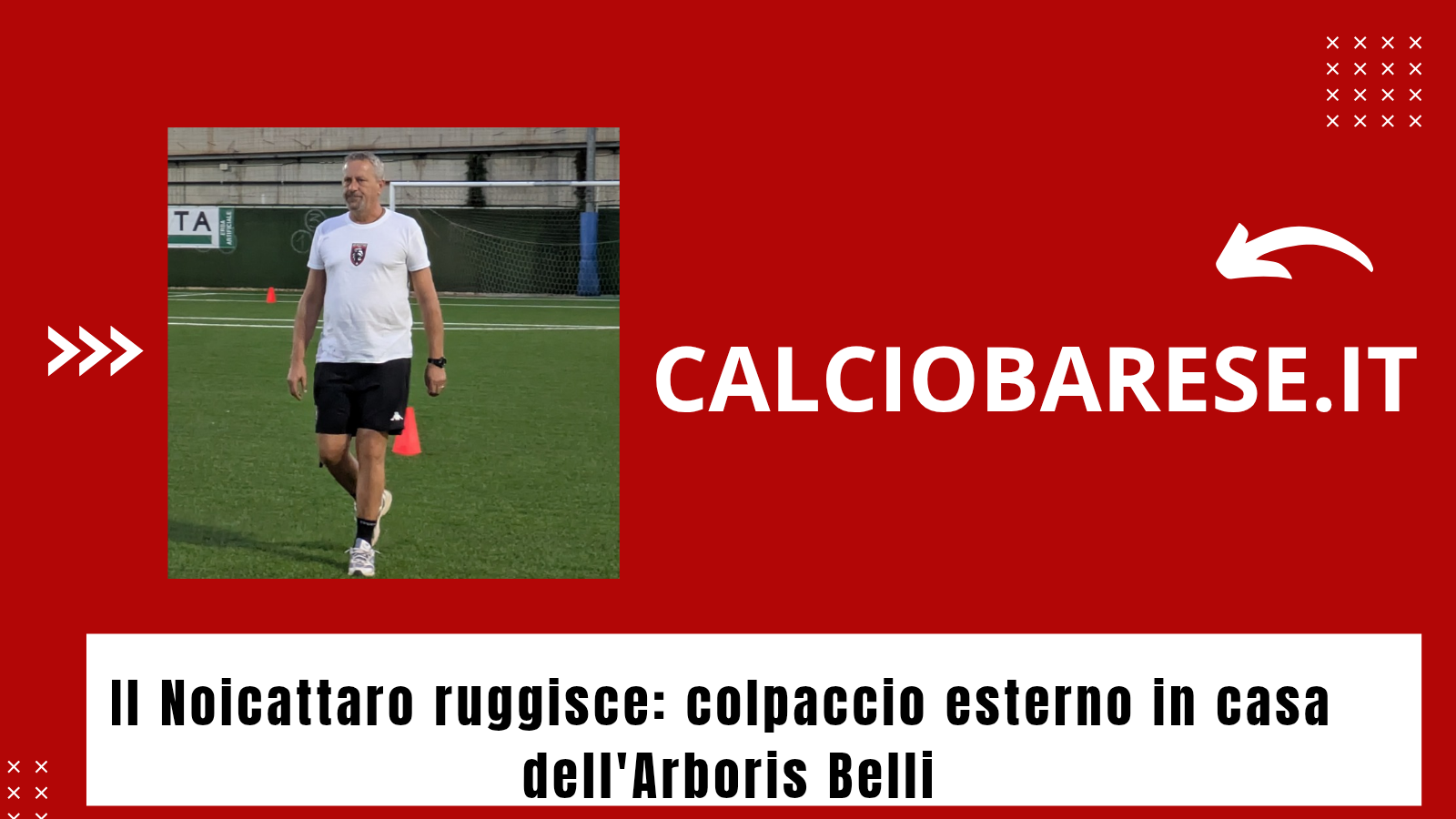 CB: Il Noicattaro ruggisce: colpaccio esterno in casa dell'Arboris Belli